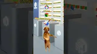 GANCUBE - New Cubes In Preparation 🐶