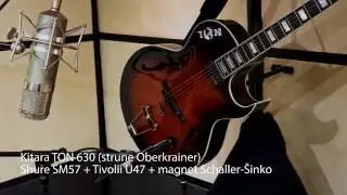 Narodnozabavna kitara TON 630 (studijski posnetek - polka)