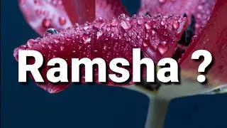 Ramsha Name Ke Meaning | Ramsha Name Status | Ramsha Naam Ka WhatsApp Status | Magic of Name