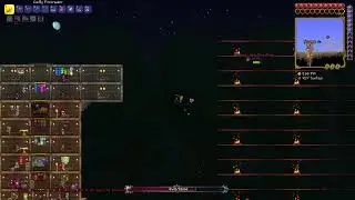 Frame perfect instant-respawn bug | Terraria