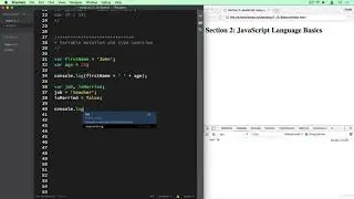6  Variable Mutation and Type Coercion