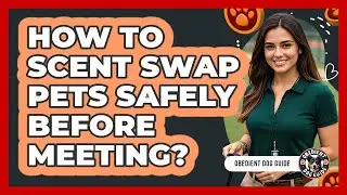 How To Scent Swap Pets Safely Before Meeting?
