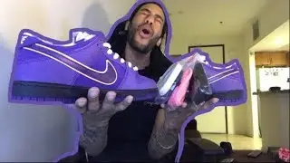 Nike Sb Purple Lobster Unboxing!