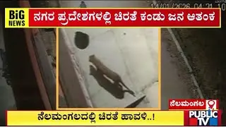 Leopard Attacks A Dog At Hemaganga Layout In Nelamangala