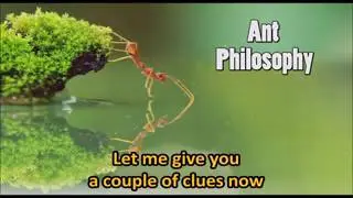 Ant philosophy - Jim Rohn