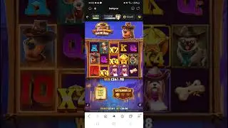 27 spin start * The Dog House Dog or Alive * Betty Casino * .20 bet bonus How'd it go? #bettycasino