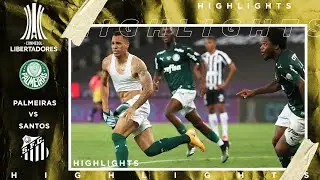 Palmeiras vs Santos | LIBERTADORES FINAL HIGHLIGHTS | 1/30/2021 | beIN SPORTS USA