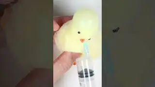 병아리 삐약삐약~ | Poko Squishy ASMR cho~♡ #shorts