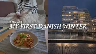 living in Denmark | my first winter vlog, cozy day, home cooked meals and journaling