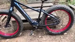Maxx Jagamoasta Els Custom Fatbike by Christian Dorfinger