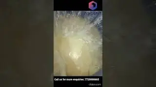 Automatic ghee packing machine