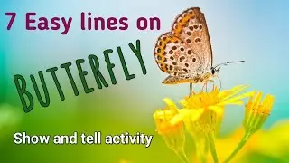 Show and Tell Activity on BUTTERFLY | 10 Easy Lines on BUTTERFLY | Very Easy Lines on Butterfly