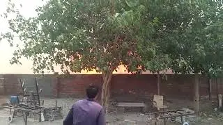 Fire Caught beside the Colony textile mills