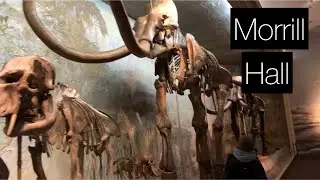 Visiting MORRILL HALL ~ Come Along to See This Museum!