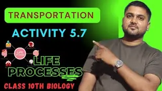Activity 5.7 | Transportation | Transportation in Human Beings | Class 10th Biology | life Processes
