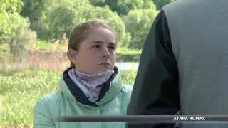 Sumy students suffer from insect attacks