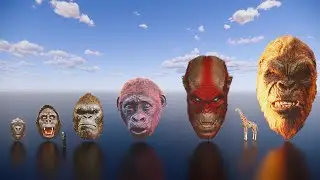 King Kong's head size comparison | big as an apartment!