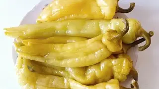 Ծիծակի թթու։ Կարևոր նրբություններ և օգտակար խորհուրդներ։  #ծիծակի-թթու։ 