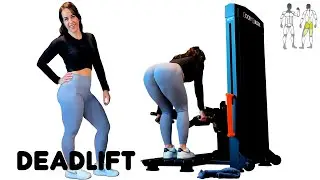Deadlift BOOTY BUILDER Machine FITNESS HALLE 46
