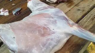 Professional Goat Meat Cutting Process || Fresh Mutton Preparation by Excellent Food