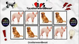 Say word On Beat Challenge   97% FAIL! 🎨 Can You Win?