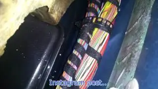 Проверьте наличие влажных ковров и влаги под коврами!