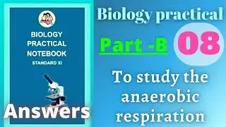 To study anaerobic respiration biology practical class 11 experiment 8 part b answers