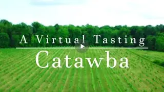 Catawba -- Freedom Run Winery