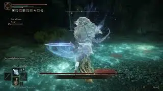 Adula's Moonblade and Darkmoon Greatsword+8 on Godskin Noble in ELDEN RING(Sorcery build)