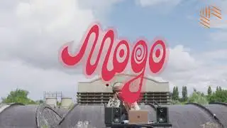 MOGO SET 1: KLEMEE