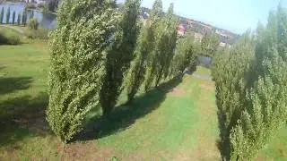Furibee Darkmax 220