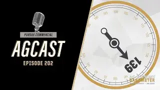 Ag Barometer Insights: результаты опроса за ноябрь 2025 г., выпуск 202 AgCast