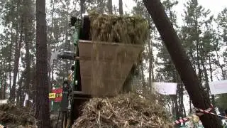 ASTURFORESTA VIDEO 1