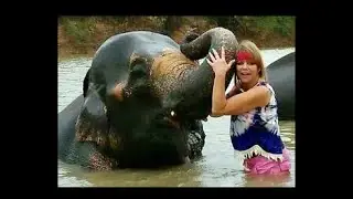 How Does Volunteering with Elephants Help The Elephants? I Did It For 2 Weeks...