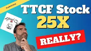 Could TTCF stock 25x? What would need to happen?