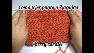 COMO TEJER PUNTO 2 AGUJAS  CON MERRY CARDIEL