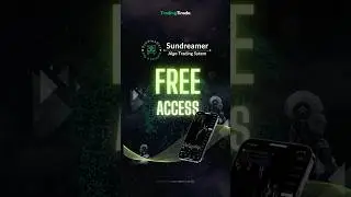 Sundreamer Algo Trading System #tradingtirada #sundreamer #copytrading