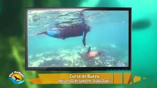 Curso de Traje Seco - Scuba Duba Buceo