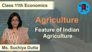 CBSE Class 11 Economics Agriculture Feature of Indian Agriculture |Extraminds