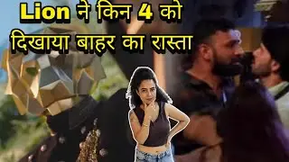 The 50 मै किन 4 को Lion ने दिखाया बाहर का रास्ता और हुई अब तक की यह 4 बड़ी लड़ाइयां हाथापाई