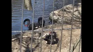 전주동물원