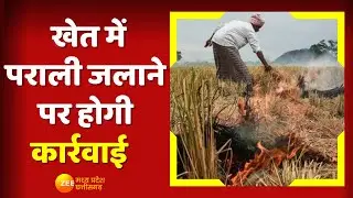 Madhya Pradesh News: Bhopal: Parali जलाने पर रोक, Collector ने जारी किया आदेश | MP News Update