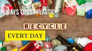 Simple Ways to Cut Plastic Use Every Day