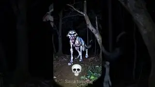 dog of transformation 💀💀