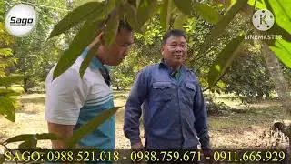 💯💯💯 CHĂM S&Oacute;C TR&Aacute;I 60 NG&Agrave;Y V&Agrave; CHIA SẼ KINH NGHIỆM ĐỂ NU&Ocirc;I TR&Aacute;I ĐỒNG ĐỀU, KHOẺ C&Acirc;Y.