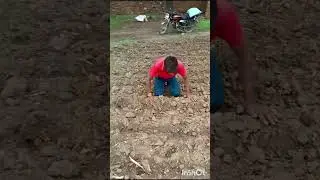 #viralvideo #localtradition #rajsamand #localvideos #tardingshort