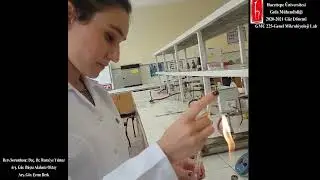 Uygulama-12 Mikroorganizmaların Direkt Sayımı Uygulama / GMÜ225 Genel Mikrobiyoloji Uygulama Dersi