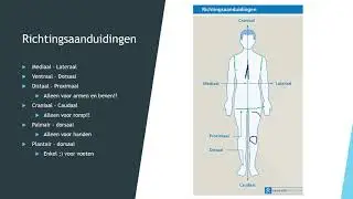 2 1 inleiding Anatomie deel 2 MVDLMH
