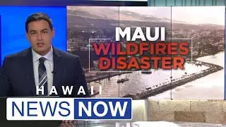 Maui County sues HECO, alleging negligence for &lsquo;utility-caused&rsquo; wildfire that ravaged Lahaina