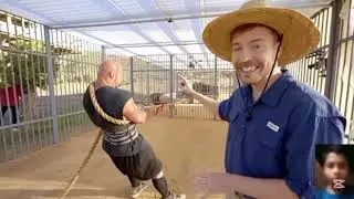Lion vs Man 🥶 | Mrbeast Challenge in Hindi
